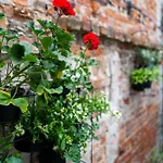 Apartment Traumzeit Loft - Abc293 *